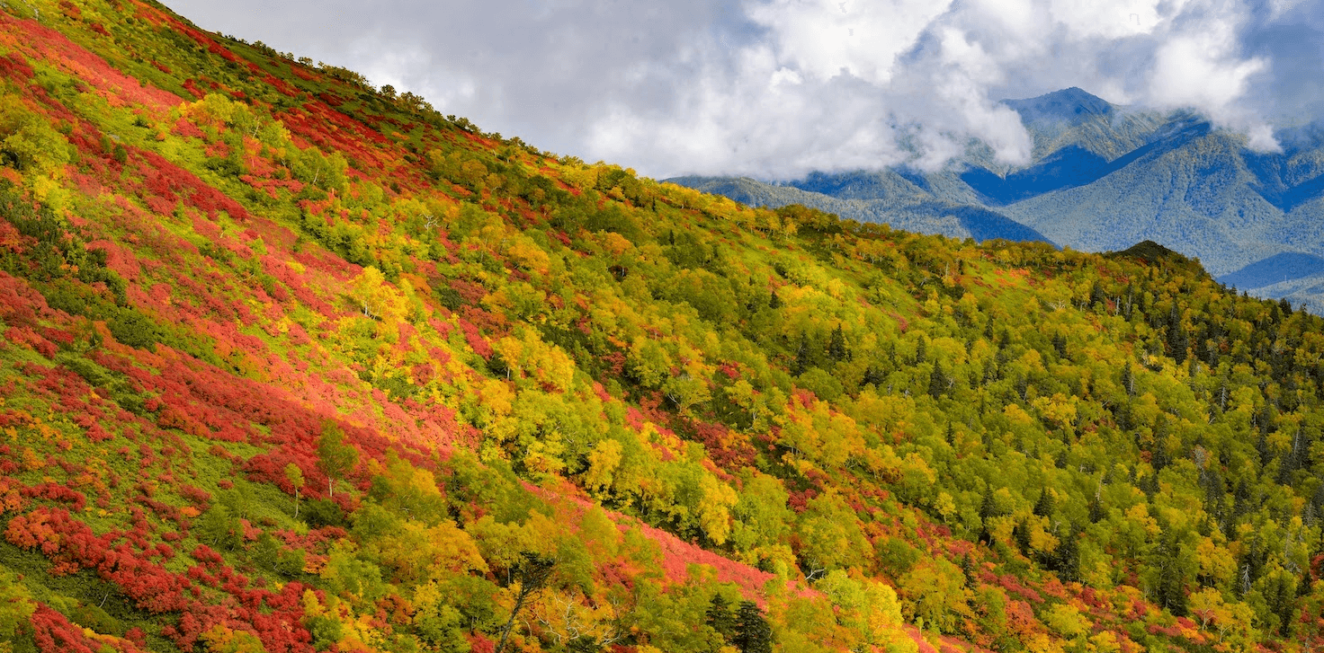 Autumn Leaves in Sounkyo