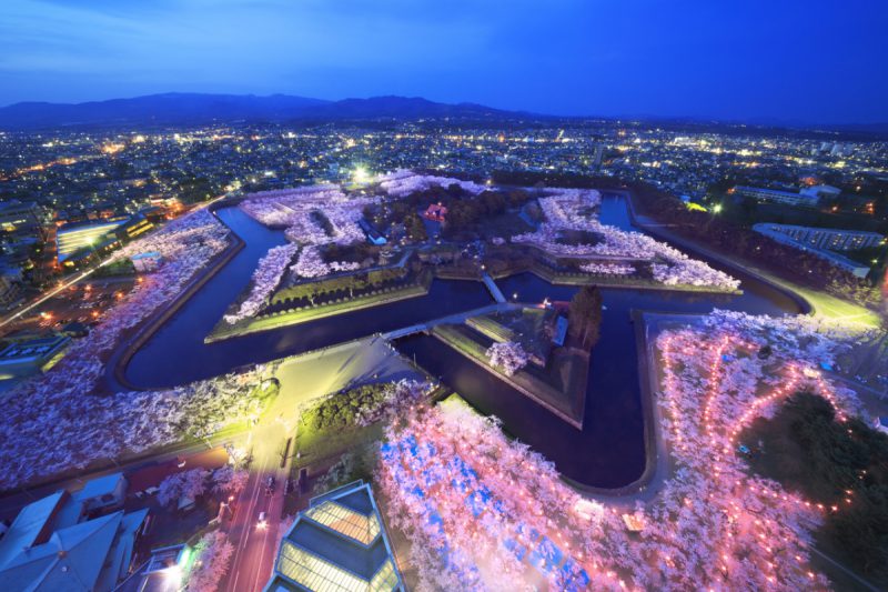 Goryokaku in full bloom of cherry blossoms