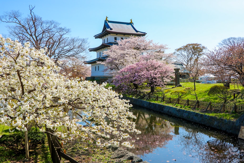 Matsumae Castle and beautiful cherry blossoms