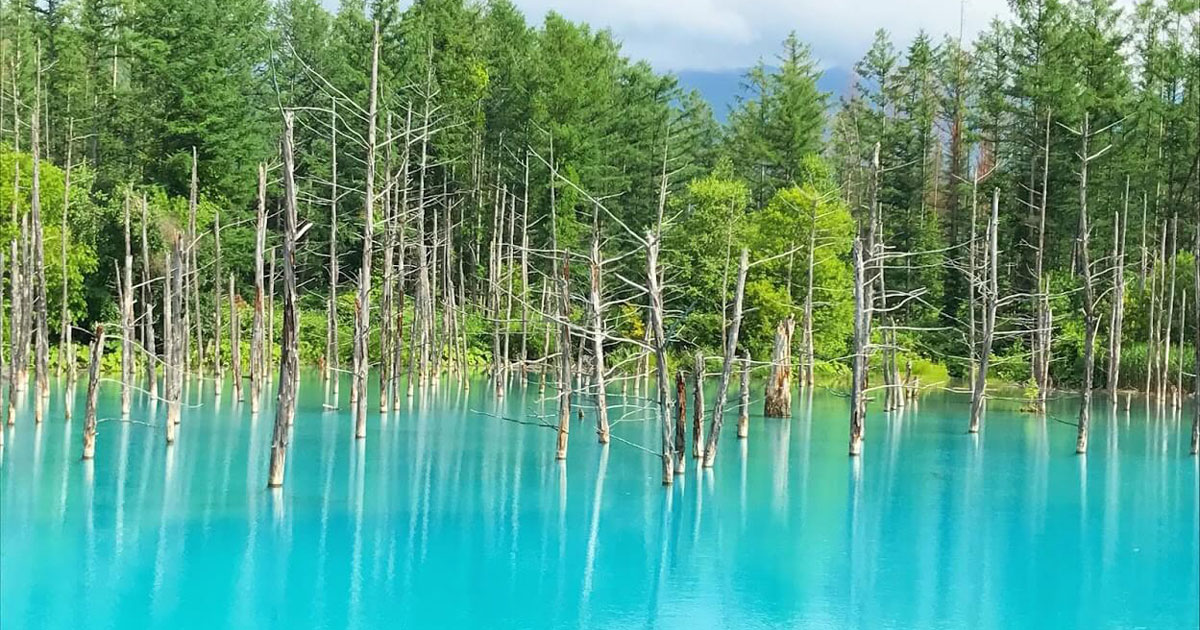 Emerald Lake