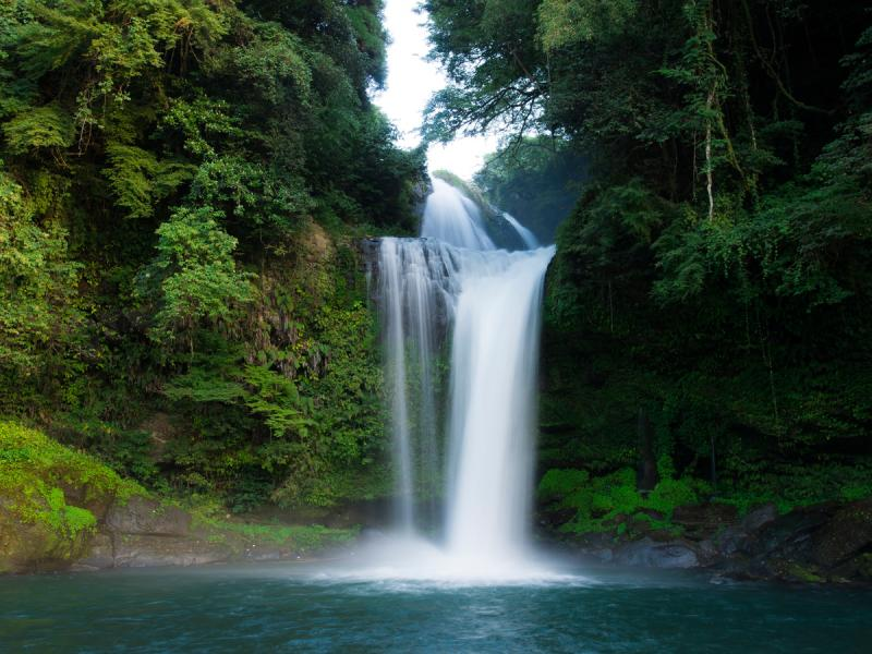 a beautiful waterfall surrounded by lush greenery