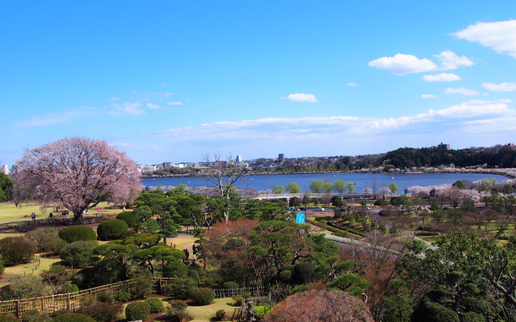 Scenery of Kairakuen Garden