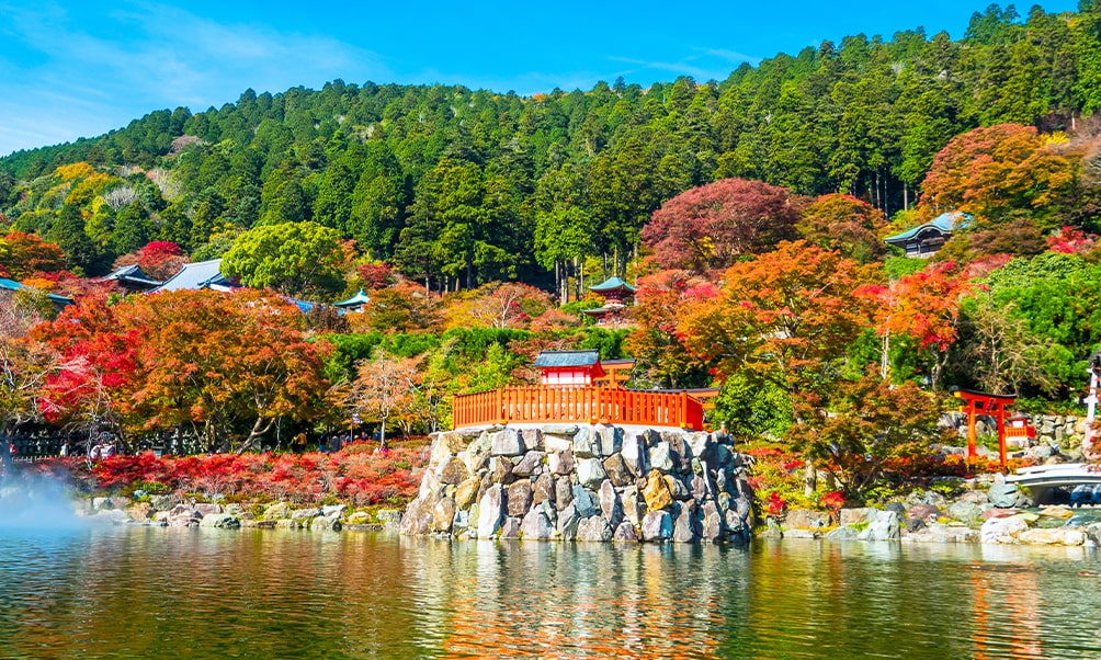 Pond and red bridge at Katsuo-ji Temple with beautiful autumn leaves