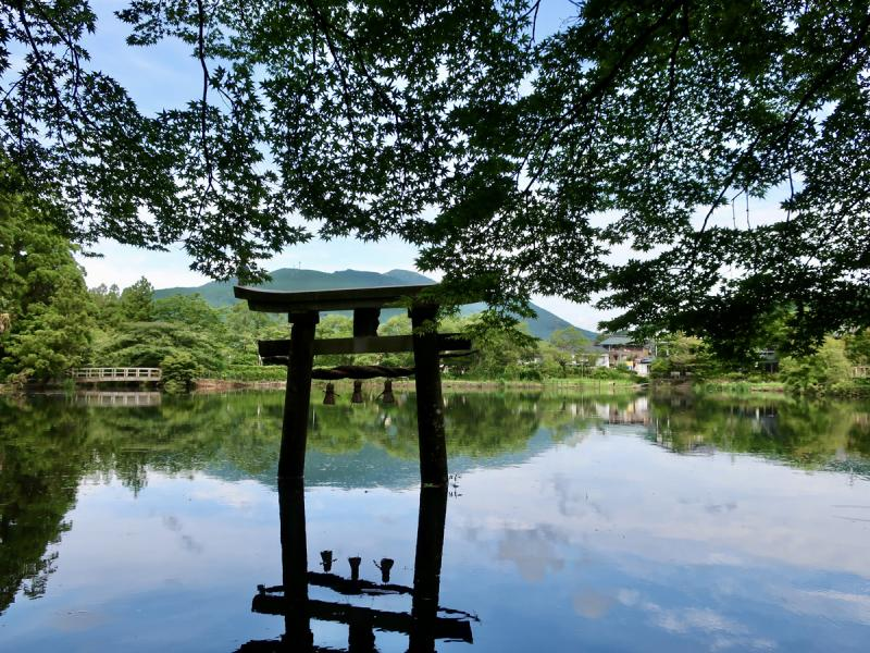 a torii gate by the lake with lush green trees