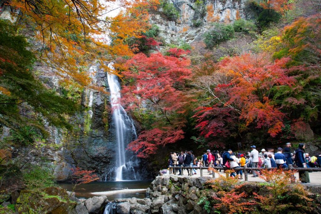 People admiring the autumn leaves and waterfall