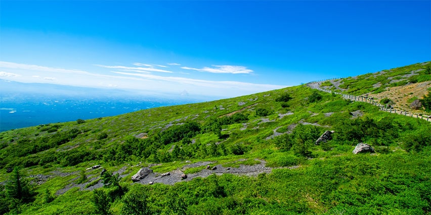 Mountain hiking trail in Japan with lush green slopes wooden fence