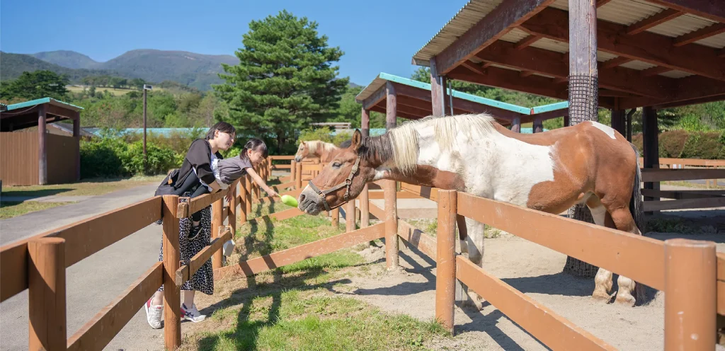 Japanese tourists feeding horses at mountain ranch wooden fence enclosure with scenic mountain backdrop