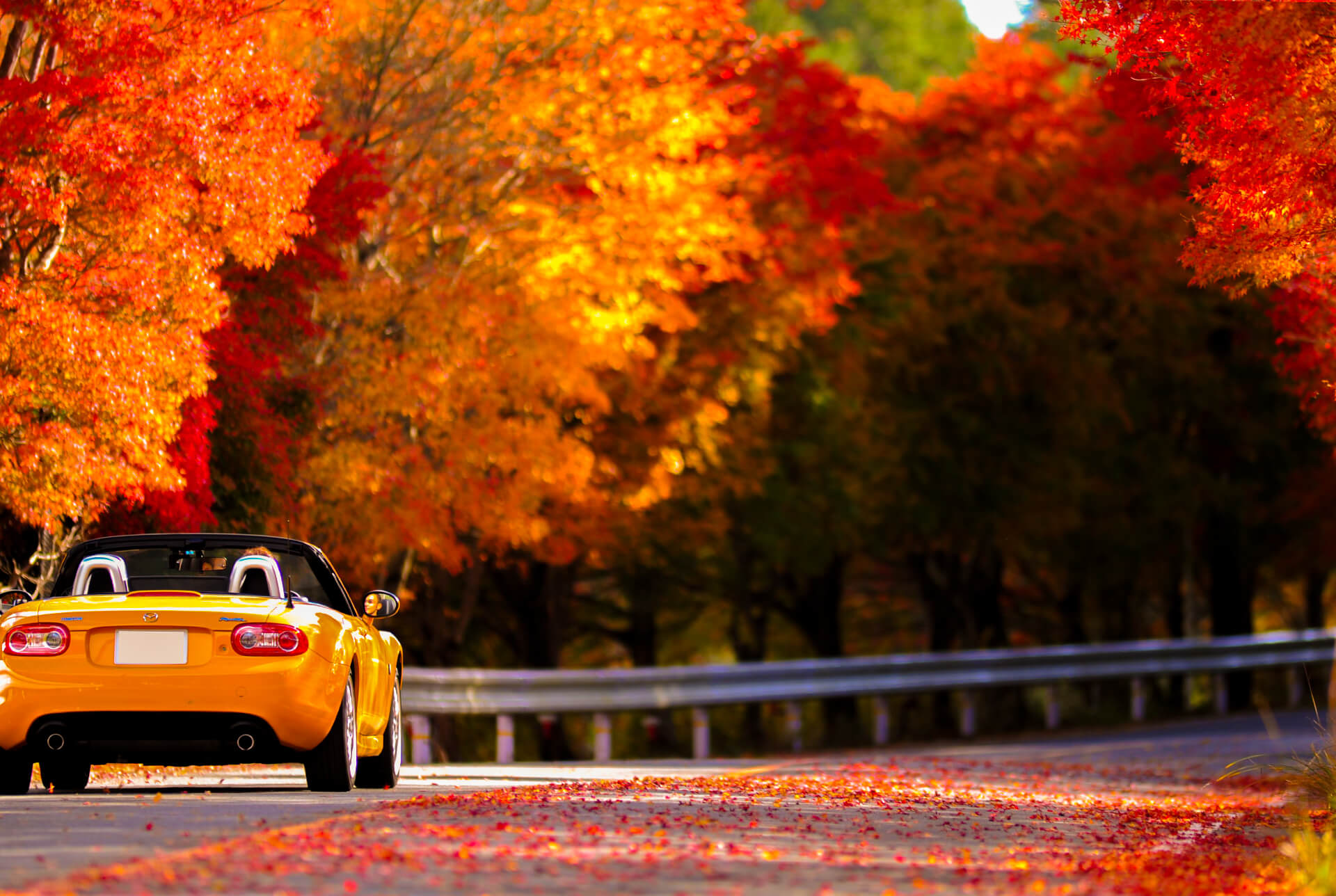 Mazda Roadster driving through autumn foliage in Japan