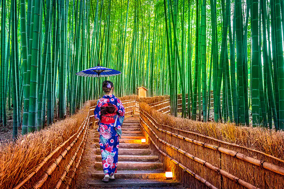 Arashiyama Bamboo Grove in Kyoto, Japan
