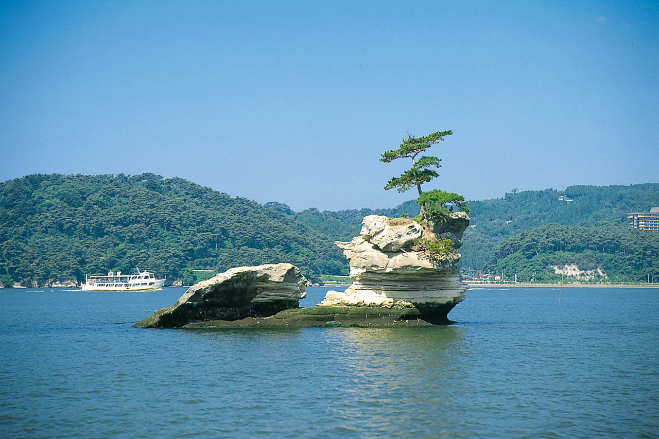 Pine tree on a rocky island in Matsushima Bay, Miyagi